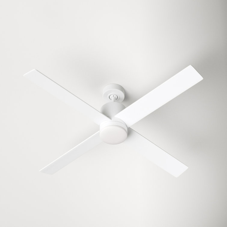 Cairns 52'' Ceiling Fan with LED Lights & Reviews AllModern
